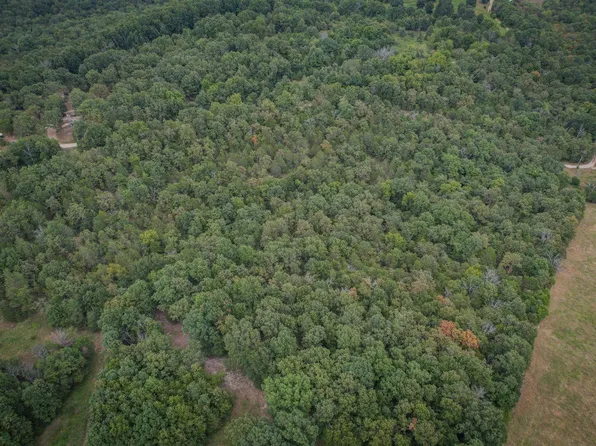 TRACT County Road 1034 #A, Clarkridge, AR 72623