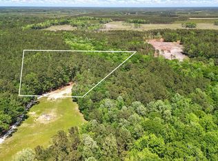 384 Fish Rd, Ridgeville, SC 29472