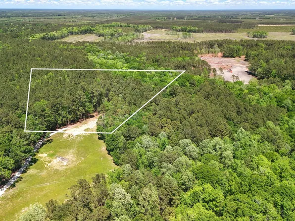 384 Fish Road Estates Ln, Ridgeville, SC 29472