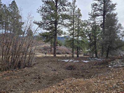 368 Squirrel Drive, Pagosa Springs, CO, 81147
