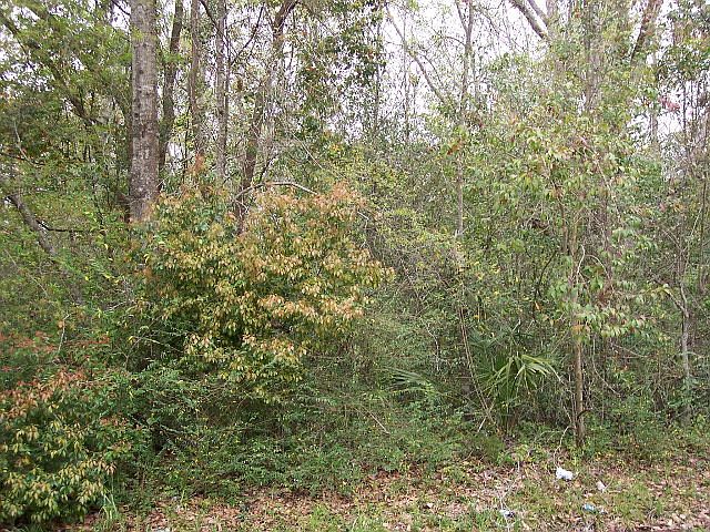 2nd image of 9 Street