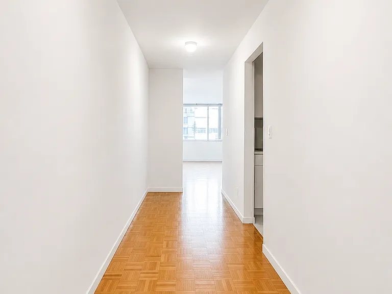 350 W 50th St #4II — Photo 6