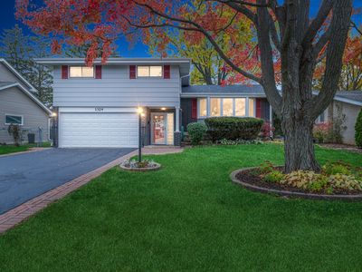 1324 E Mulberry Ln, Mount Prospect, IL, 60056