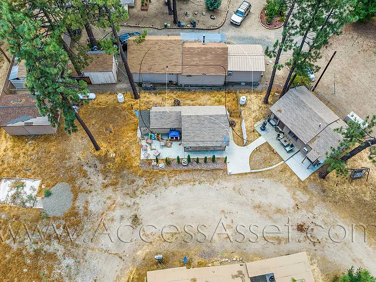 (*) Pines to Palms 59485 — Photo 14