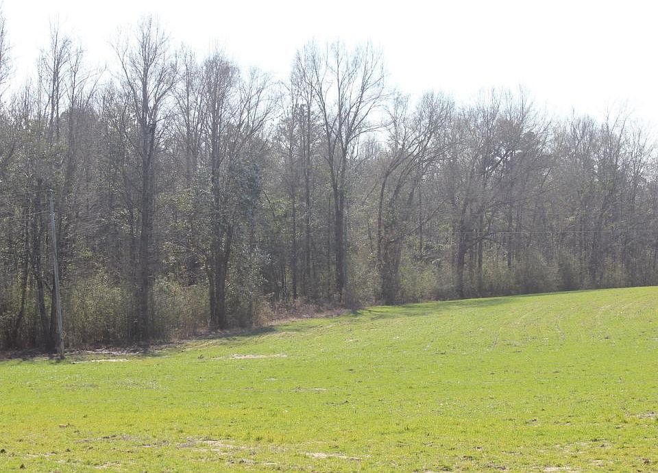 2nd image of 99 Circle Dr