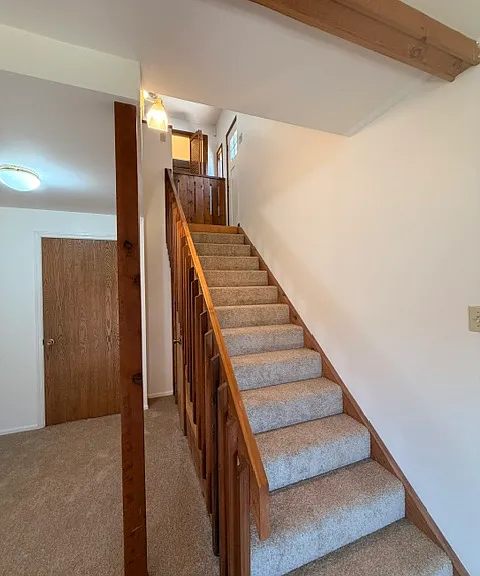 600 Tanya Dr — Photo 47
