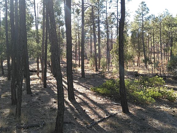 5th image of 3251 Sage Ln