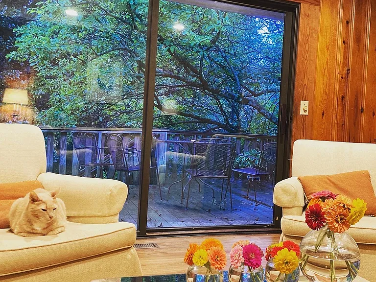 Living room looking out to private back porch