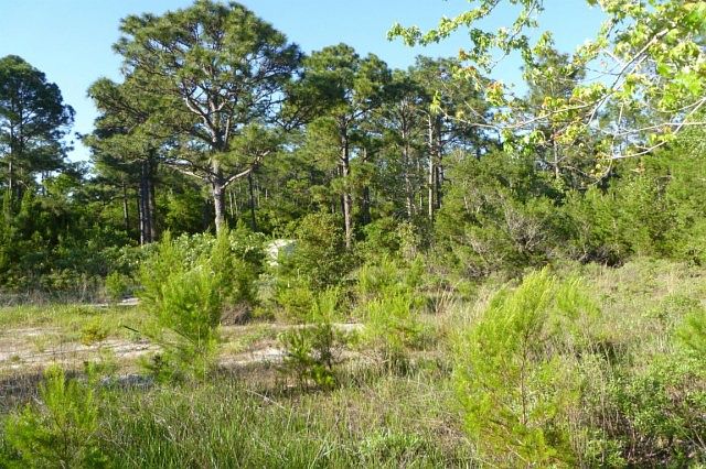 2nd image of 6060 Pampas Dr