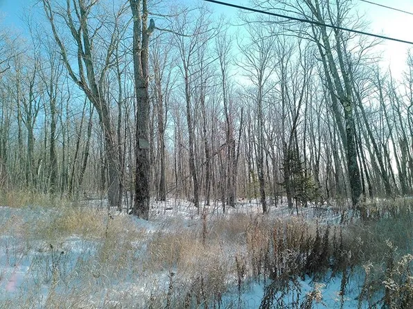 S Caribou Dr, Lutsen, MN 55612