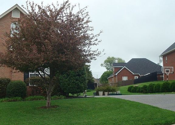 2nd image of 1005 Lichfield Ct