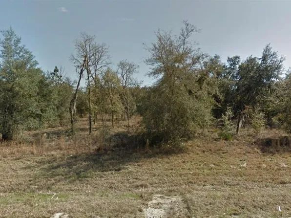 0 NE 106th Ter #11, Williston, FL 32696