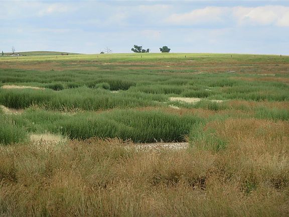 5th image of 18287 Sd Highway 79