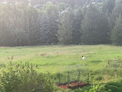 10530 N Overview Dr, Spokane, WA, 99217