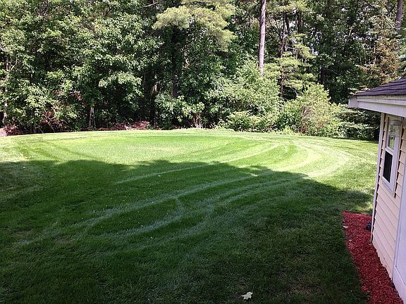 Back yard