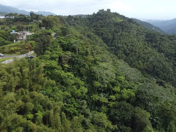 State Highway 143 San Patricio Ward, Ponce, PR 00731