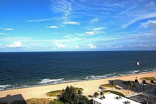 view