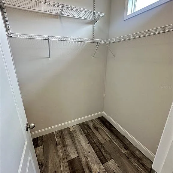 34652 Blue Starling St — Photo 32