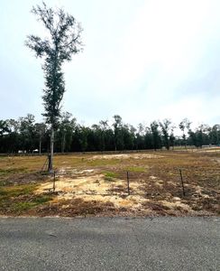 NE New Market Rd, Hosford, FL, 32334