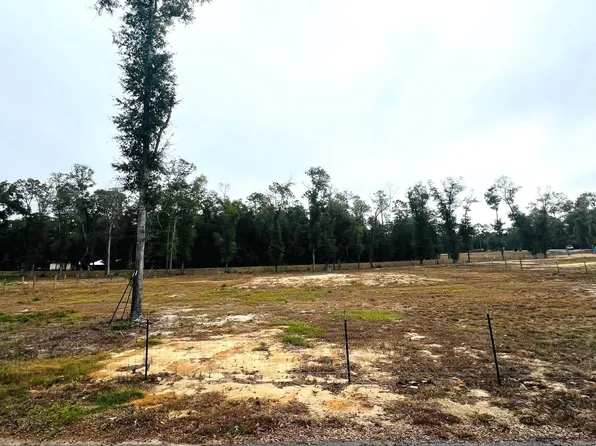 NE New Market Rd, Hosford, FL 32334