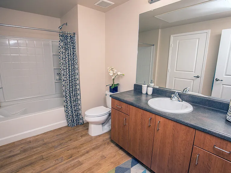 1F1 859-871 SQ FT 1 Bed 1 Bath