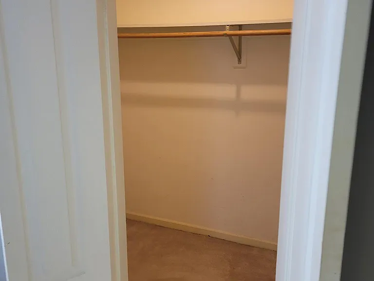 Main bathroom walk-in closet