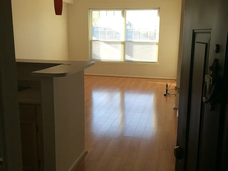 1600 Spring Gate Dr #2414 — Photo 11