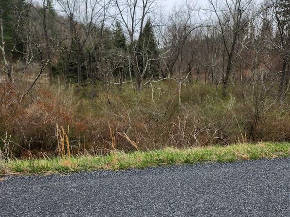 Off Of 495 Ritchey Bridge Rd, Everett, PA 15537
