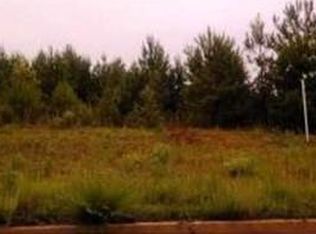 301 Trae Ct, Hampton, GA 30228