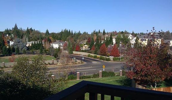 2nd image of 1007 Dianthus Ln