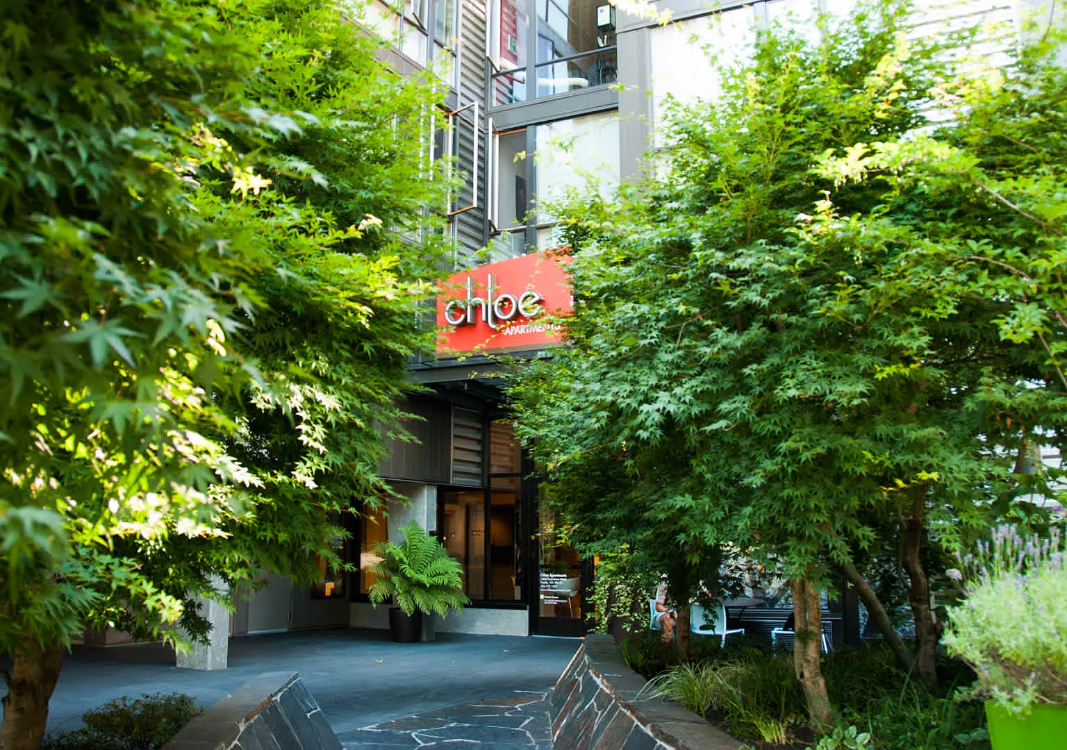 Chloe on Union — Photo 2