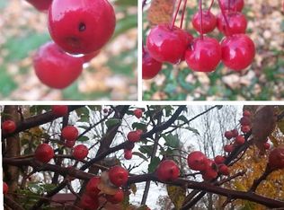 S5936 Granite Dr, North Freedom, WI 53951