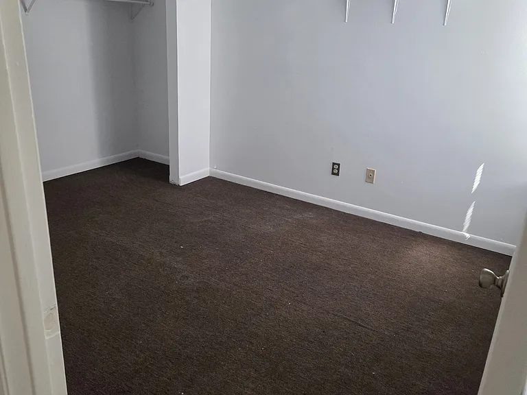 269 Jadetree Dr — Photo 12