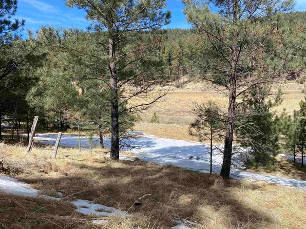 28 Trading Post Rd, Cloudcroft, NM 88317