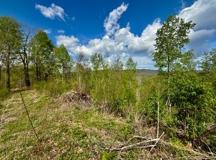 19/AC Edith Gouge Rd, Unicoi, TN 37692