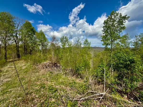 19/AC Edith Gouge Rd, Unicoi, TN 37692