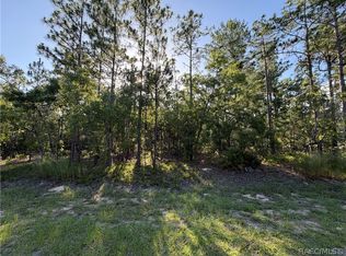 2005 County Road 243e, Wildwood, FL 34785