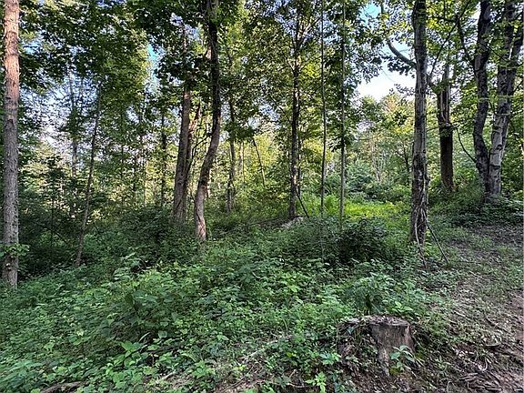 2nd image of Morganstern Ln