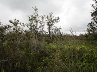 Omeka Rd #37, Volcano, HI 96785