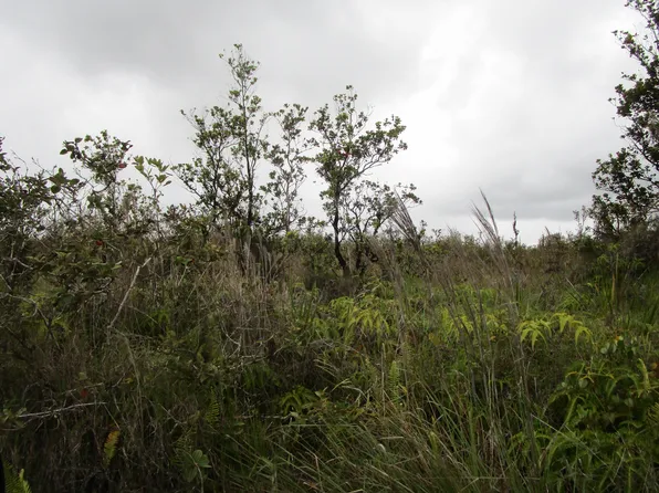 Omeka Rd Lot 37, Volcano, HI 96785