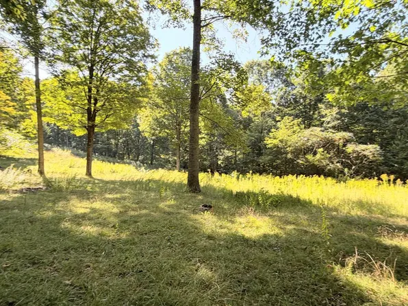 0 Keeney Mountain Rd, Sandstone, WV 25985