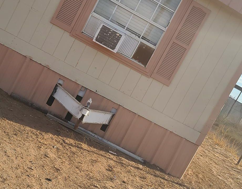2nd image of 910 Coyochic
