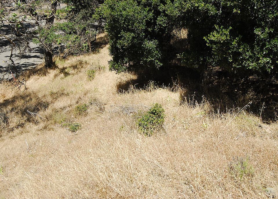 2nd image of 1201 Kilkare Road