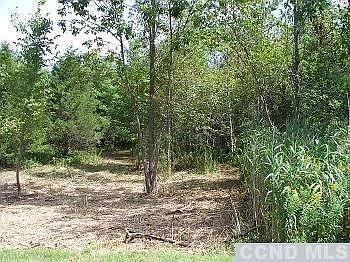 2nd image of 80 Old Stonewall Road