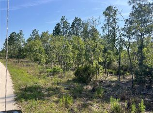 NE 151st Ave LOT 4, Williston, FL 32696
