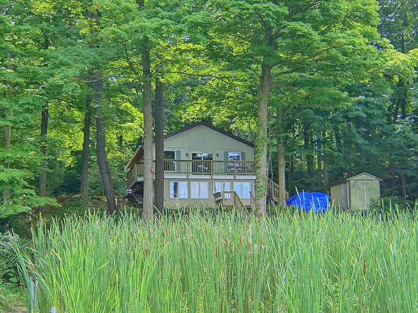 10749 Kings Ln, Berrien Springs, MI 49103