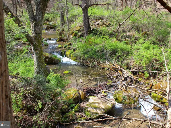 Dumpling Run Rd, Moorefield, WV 26836