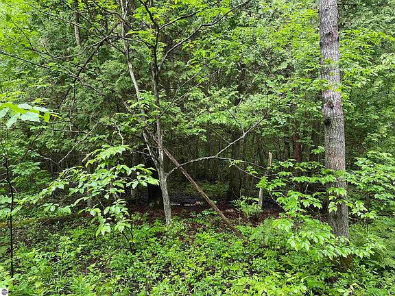 5th image of 15991 Bentley Rd