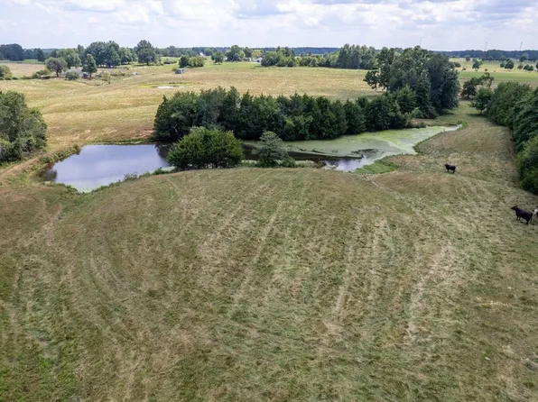 Bass Rd, Rogersville, MO 65742