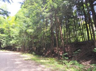 L3 Beartown Rd, Lake Luzerne, NY 12846